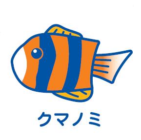 クマノミイラスト