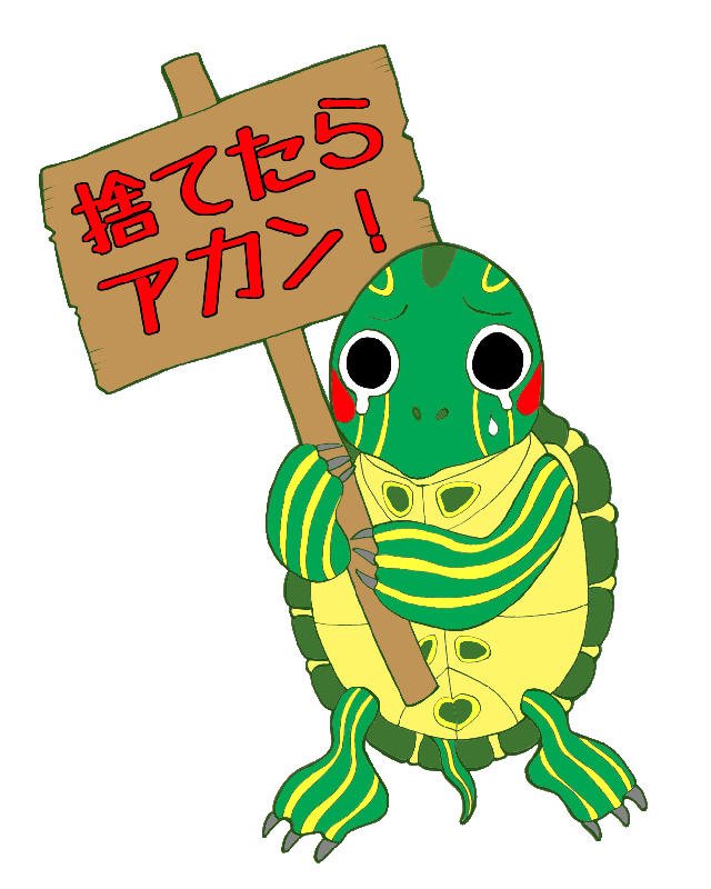 カメダイヤル