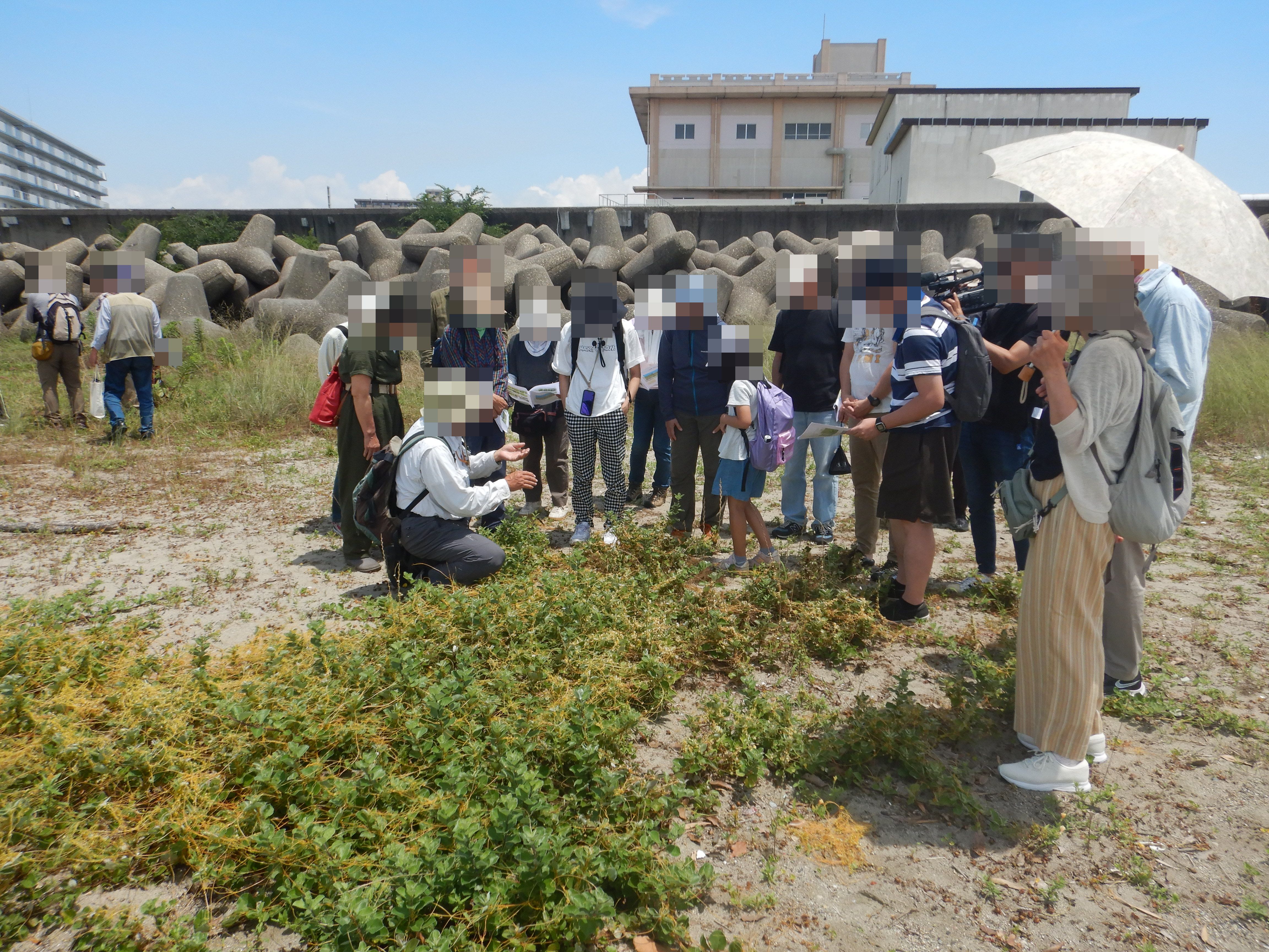 ネイチャーツアー海岸編_当日の様子2