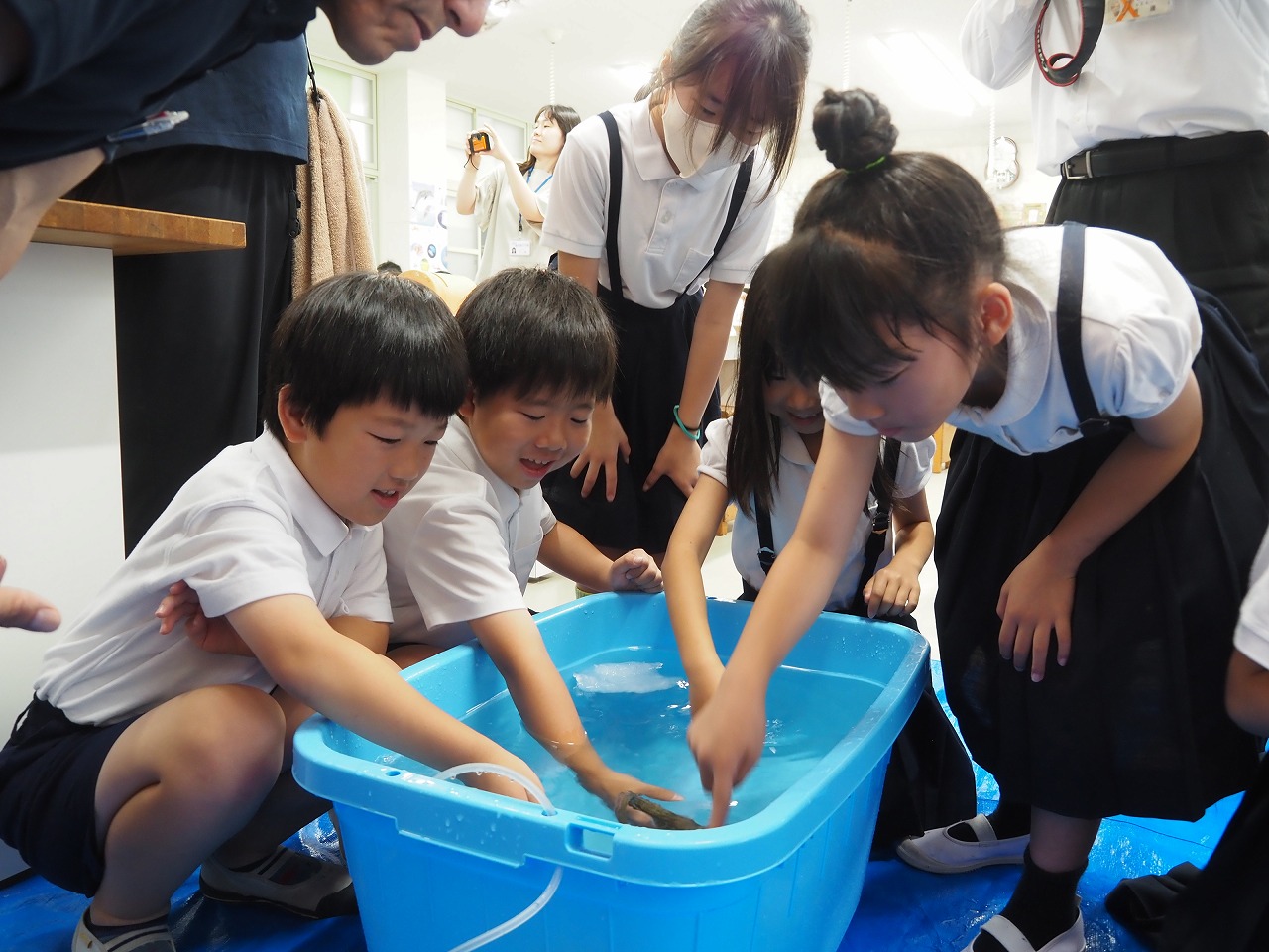 （写真）生きているタコに触れる子どもたち