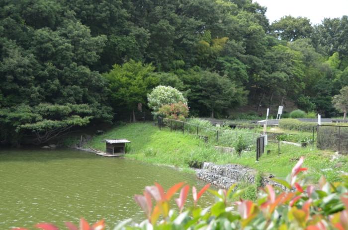 金ケ崎公園