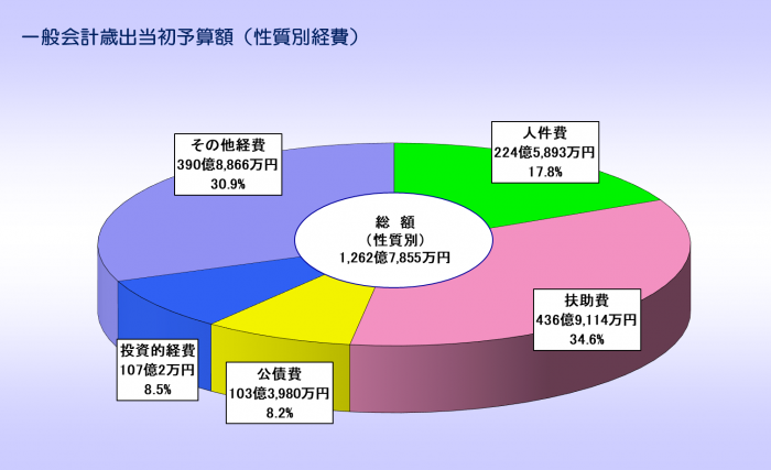 R6当初歳出性質別